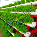 Horta Hidroponica Quintal Casa Orgânica Ecológico