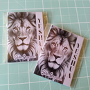 Arquivo Mini Biblia Leões
