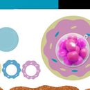 Arquivo Donut Bola