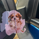 Arquivo Card Cartões Retrovisor