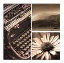 Pacote Com Imagens Para Quadros Decorativos