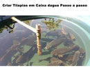 Projeto Para Criar Tilápias Em Caixa D\'água Completo