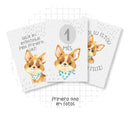 Arquivo Digital Livro Do Bebê Cachorrinho -9 Itens Lindo!