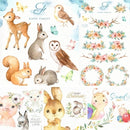 Arquivo Digital - 52 Kits Animais Aquarela + 5 Bônus (08)