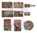 Arquivo Etiqueta Escolar Dinossauros 12 Studio, Pdf E Png