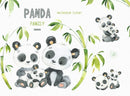 Kit Digital Panda 1