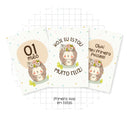 Arquivo Digital Livro Do Bebê Porco Espinho -9 Itens -lindo!