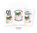 Arquivo Digital Livro Do Bebê Raposinha -9 Itens -lindo!