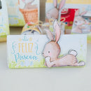 Arquivos De Corte Páscoa Coelho Studio (13)
