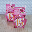 Arquivos De Corte 15 Anos Rosa  Mod 2studio Pdf E Png