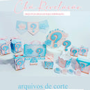 Arquivo Digital Kit Festa Chá Revelação - Studio  Pdf + Pngs