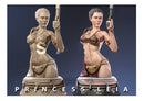 Busto Princesa Leia - Arquivo Stl - Impressora 3d