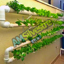 Horta Hidroponica Quintal Casa Orgânica Ecológico