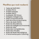Planilhas Teste De Perfil Comportamental Disc Excel Rh