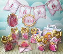 5 Kits De Arquivo Digital/silhouette/pdf - Princesas