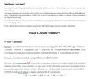 Aprenda A Fazer Downloads Seguros Na Internet Via Torrent