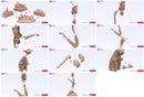 Star Wars Jedi In Training Gambody Stl/obj Para Impresion 3d