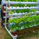 Horta Hidroponica Quintal Casa Orgânica Ecológico