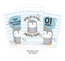 Arquivo Digital Livro Do Bebê Pinguim Baby -9 Itens - Lindo!