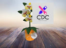 Arquivo Corte Dia Das Mães Orquidea e Violetas + Brinde