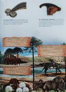 Álbum Choco Jet El Mundo De Los Animales Prehistoricos Pdf