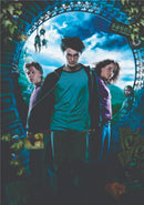 Arquivo Digital Miolo  Agenda/ Caderno Pautada Harry Potter