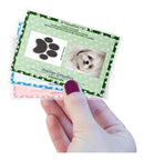 Combo Arquivos Encadernação Caderneta Saúde Cão Gato