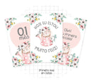 Arquivo Digital Livro Do Bebê Coelhinha -9 Itens Lindo!
