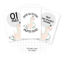Arquivo Digital Livro Do Bebê Dino Rosa-9 Itens- Lindo!