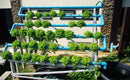 Tenha Uma Horta Em Casa Horta Hidropônica Em Pvc - 2023