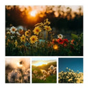 Pacote Com Imagens Para Quadros Decorativos