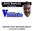 Aprenda A Fazer Downloads Seguros Na Internet Via Torrent