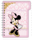 Arquivo Digital Caderneta De Vacina Minnie..