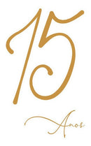 19 Arquivos De Corte 15 Anos Floral Rosa - Studio E Pdf