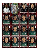 Arquivo Digital Figurinhas Copa 2022 Qatar Oryx Edition Pdf