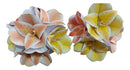 Arquivo Digital Da Flor Astromélia Com Pintura Digital